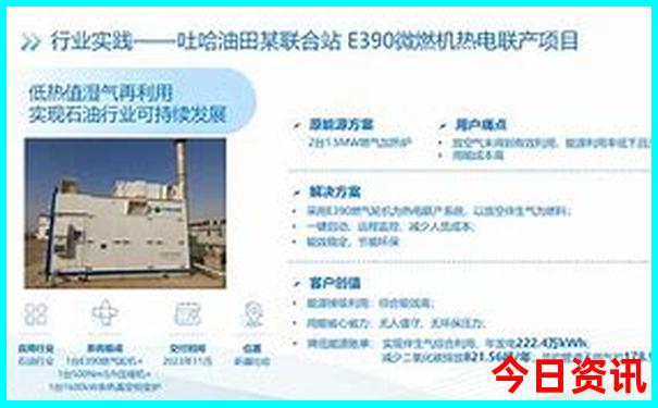 桥头生态园有什么好玩的地方景点